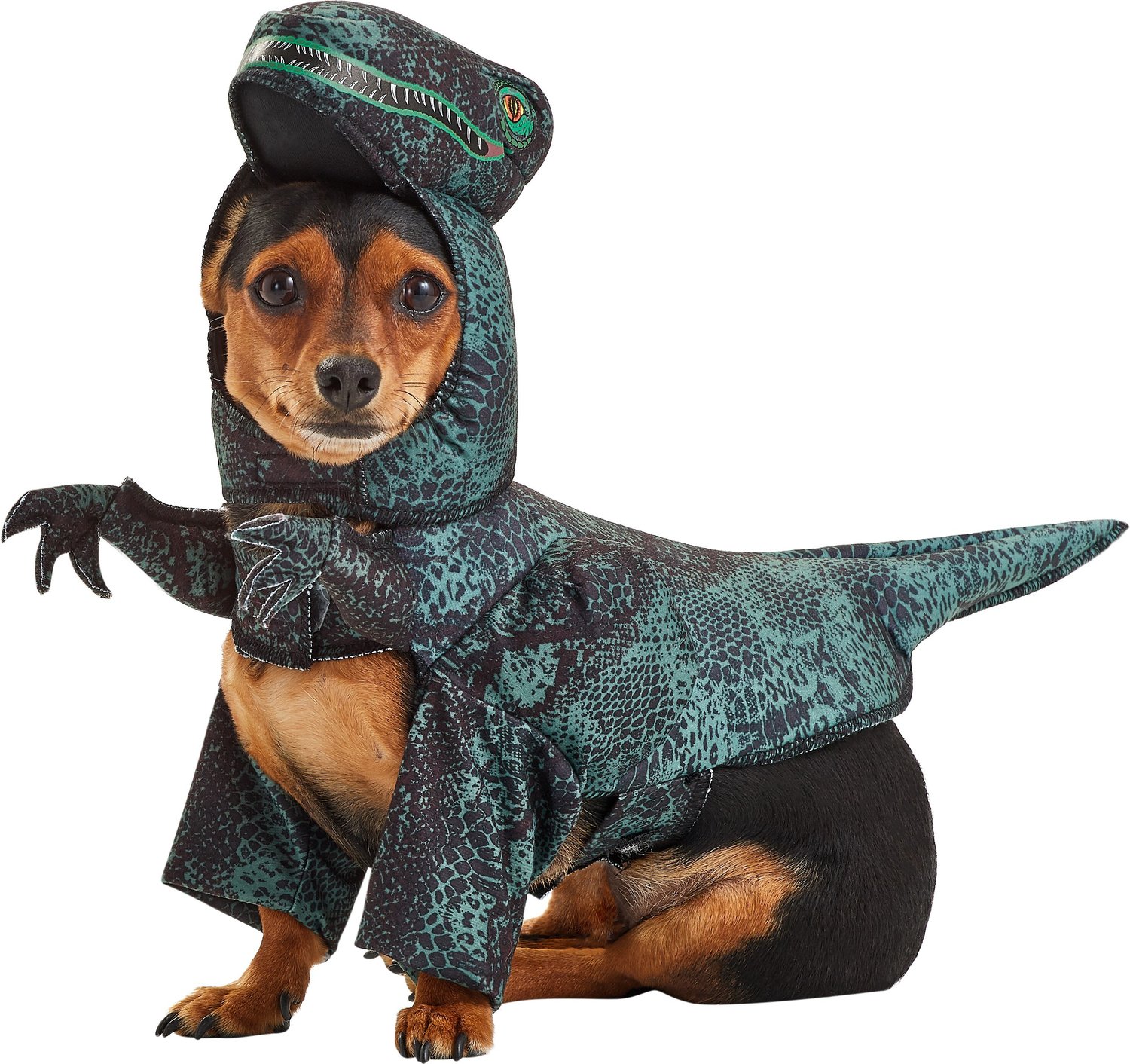 California Costumes Raptor Dinosaur Dog Costume