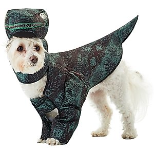 California Costumes Pupasaurus Rex Dog & Cat Costume, Small