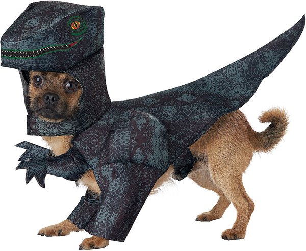 California Costumes Pupasaurus Rex Dog & Cat Costume, Medium slide 1 of 9