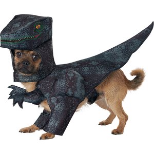 California Costumes Pupasaurus Rex Dog & Cat Costume, Medium