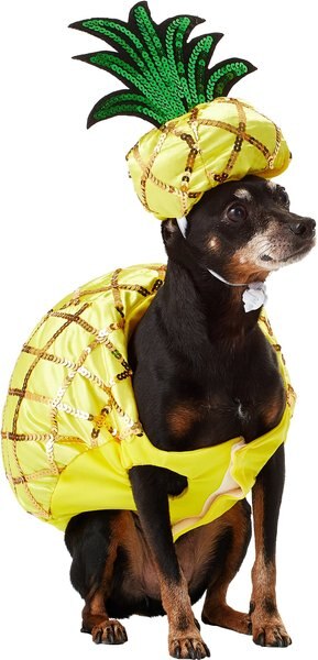 Pineapple costume for clearance dog