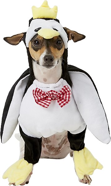 Show full view: Rubie's Costume Company Walking Penguin Dog Costume, Small slide 1 of 8