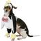 Show in main carousel: Rubie's Costume Company Walking Penguin Dog Costume, Small slide 5 of 8