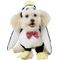 Show in main carousel: Rubie's Costume Company Walking Penguin Dog Costume, Medium slide 1 of 8