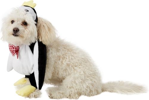 Show full view: Rubie's Costume Company Walking Penguin Dog Costume, Medium slide 5 of 8