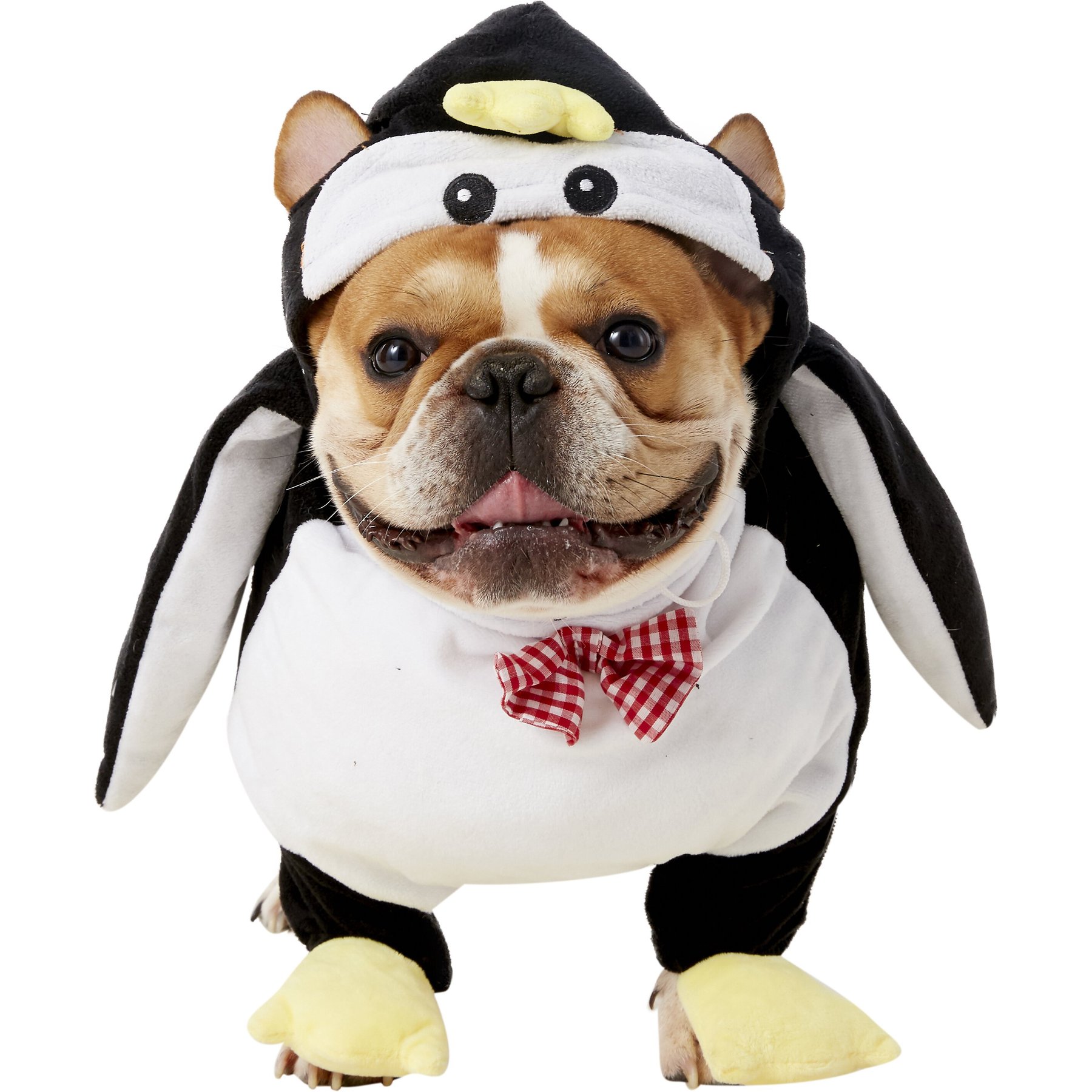 Rubie's Costume Company Walking Penguin Dog Costume, Large