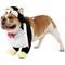 Show in main carousel: Rubie's Costume Company Walking Penguin Dog Costume, Large slide 5 of 8