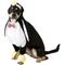 Show in main carousel: Rubie's Costume Company Walking Penguin Dog Costume, X-Large slide 5 of 8