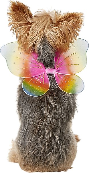 Rainbow Fairy Wings Pet Costume
