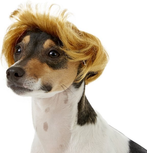 Discontinued RUBIE'S COSTUME COMPANY Pawlitical Billionaire Dog & Cat