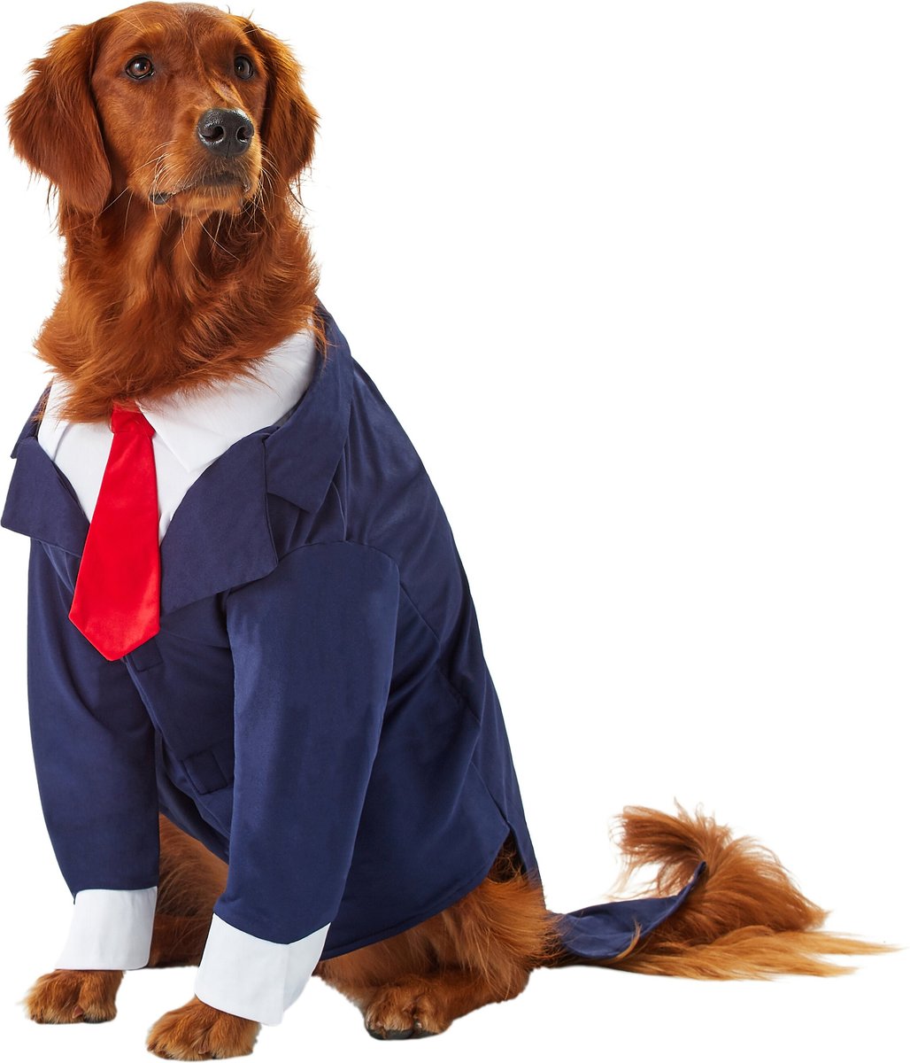 dog business suit costume