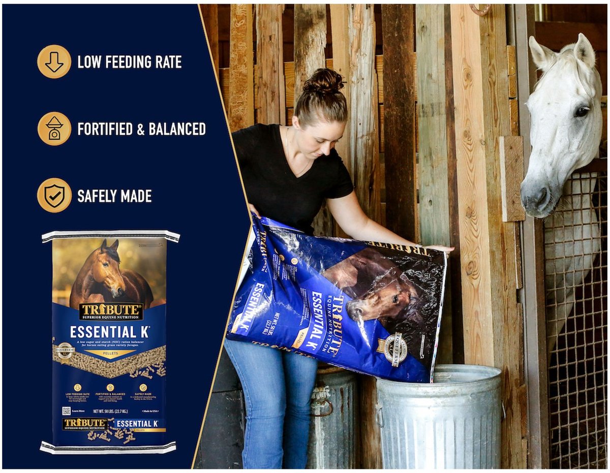 TRIBUTE EQUINE NUTRITION Essential K Low-NSC Horse Feed, 50-lb bag ...