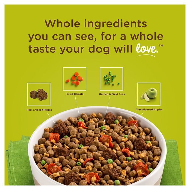 dry dog food with meat chunks