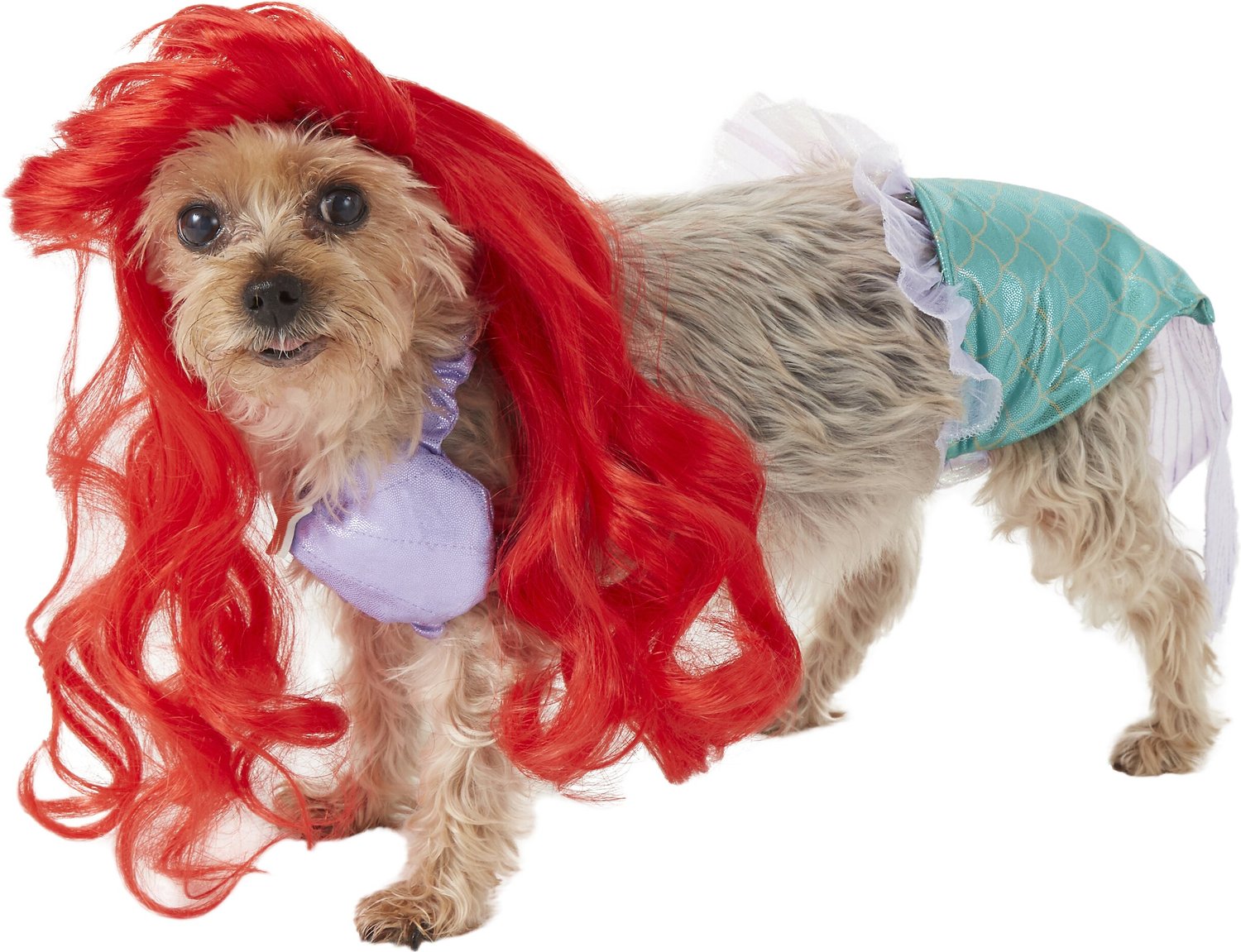 Disney for Pets Halloween Disney Princess Ariel Costume - Extra Small - |  Disney Princess Halloween Costumes for Dogs, Officially Licensed Disney Dog