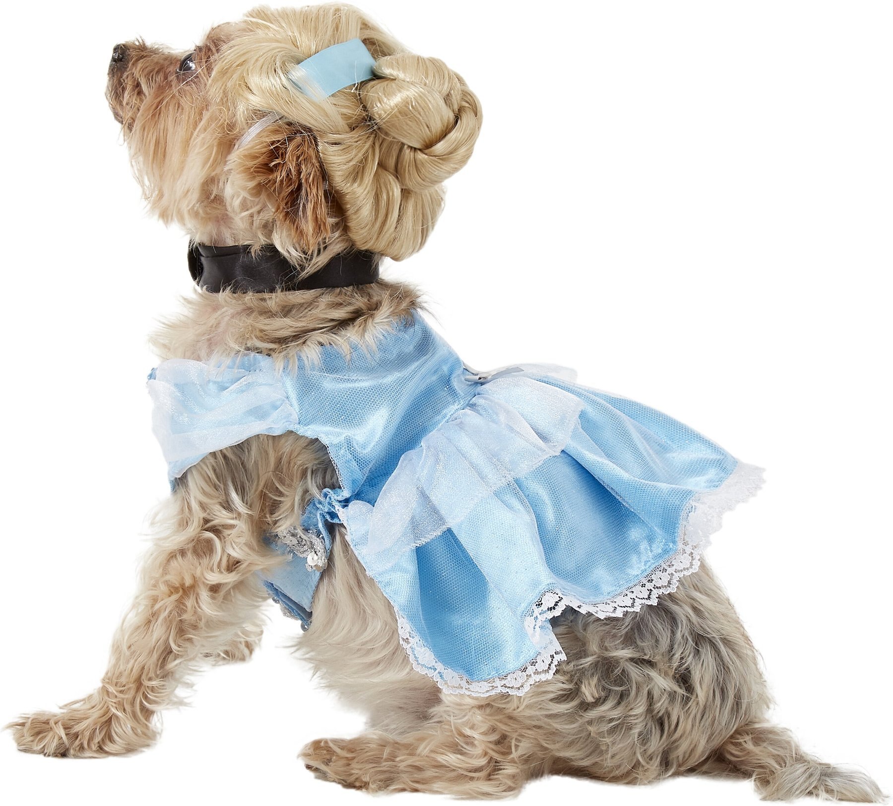 cinderella dog costumes