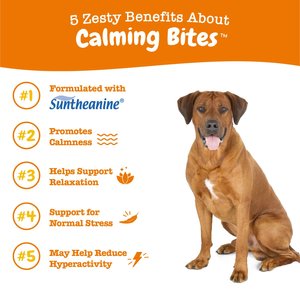 Best calming treats hot sale for hyper dogs