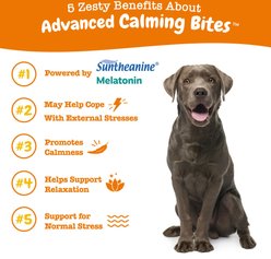 Zesty Paws Advanced Calming Bites Turkey Flavored Soft Chews Calming Supplement for Dogs, 90 count slide 2 of 9