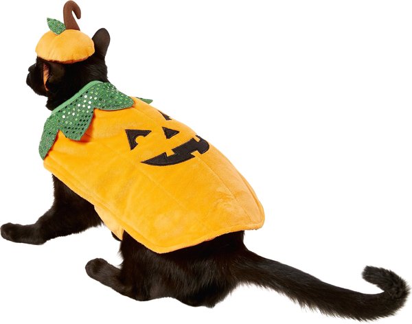 Frisco Pumpkin Dog & Cat Costume, X-Small slide 1 of 9