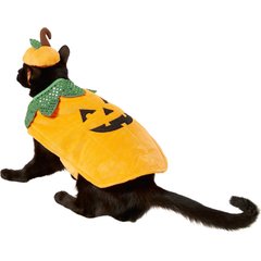 Frisco Pumpkin Cat Costume, X-Small