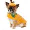 Show in main carousel: Frisco Pumpkin Jack O' Lantern Dog & Cat Costume, X-Small slide 3 of 7