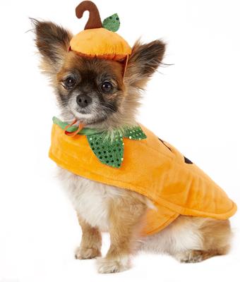 Show full view: Frisco Pumpkin Jack O' Lantern Dog & Cat Costume, X-Small slide 3 of 7