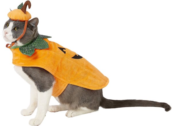 Frisco Pumpkin Dog & Cat Costume, Small slide 1 of 9