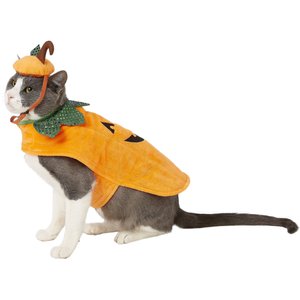 Frisco Pumpkin Dog & Cat Costume, Small
