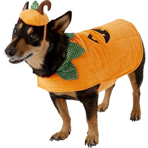Frisco Pumpkin Dog & Cat Costume, Large