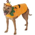 Frisco Pumpkin Dog & Cat Costume, X-Large