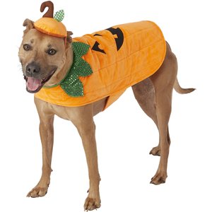Frisco Pumpkin Dog & Cat Costume, X-Large