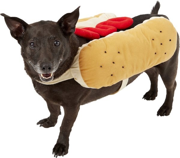 Discontinued FRISCO Hotdog Ketchup Dog & Cat Costume, Large