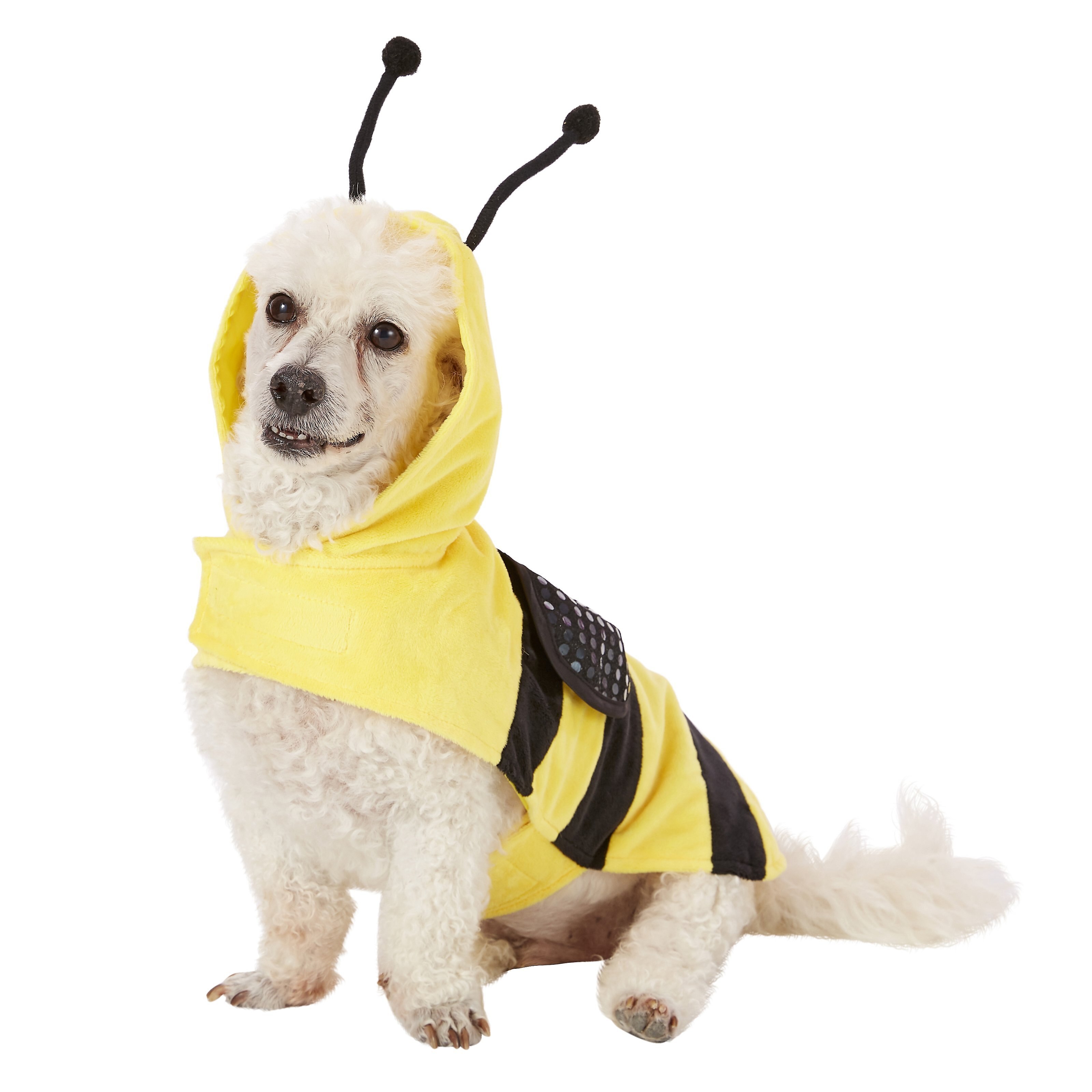 FRISCO Bumble Bee Dog & Cat Costume Customer Questions