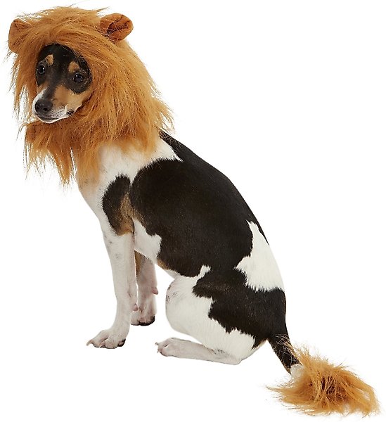 FRISCO Lion Mane with Tail Dog & Cat Costume, Small/Medium - Chewy.com