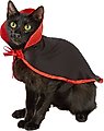 Frisco Vampire Cape Dog & Cat Costume, X-Small/Small