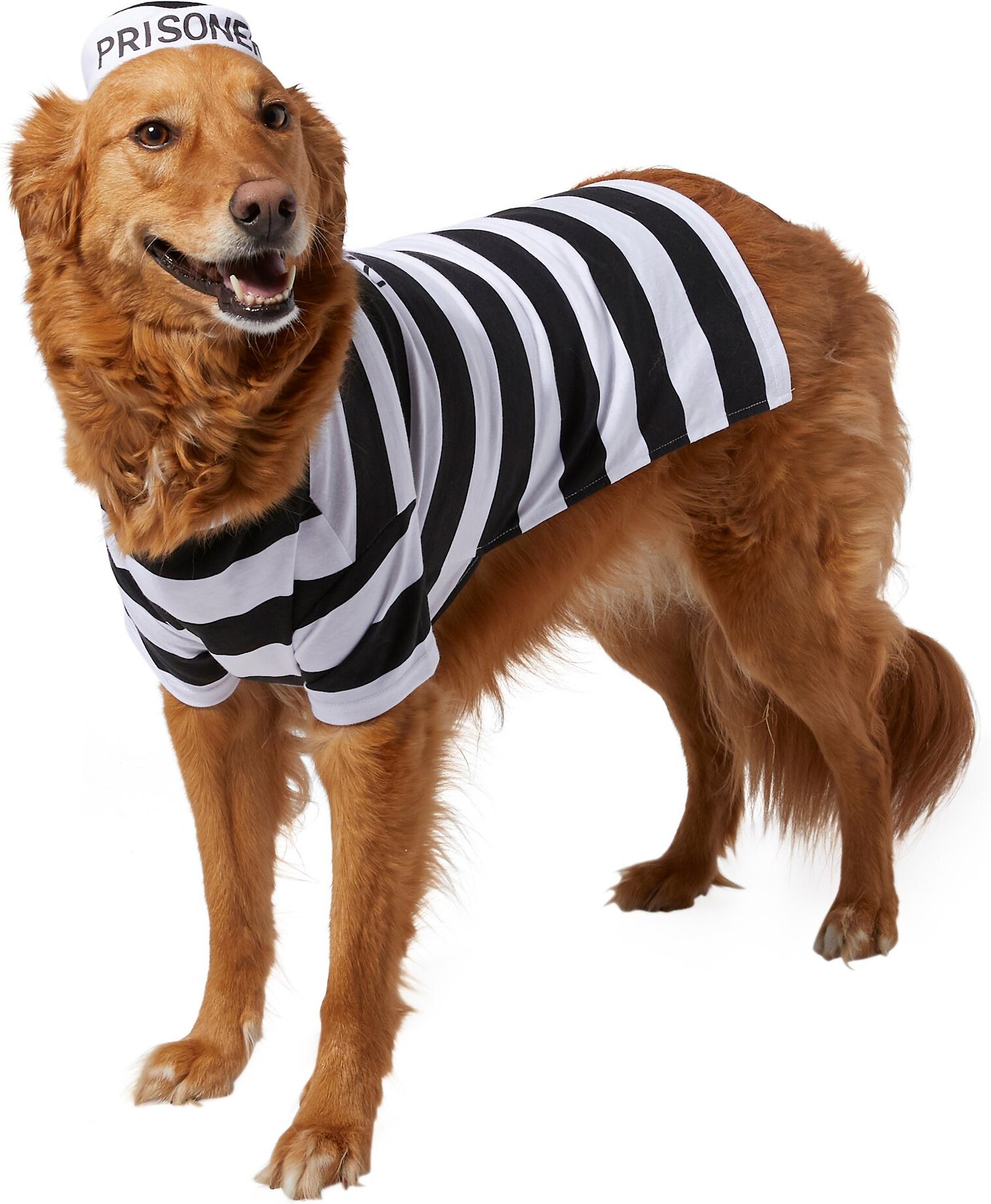 FRISCO Prisoner Dog & Cat Costume, Medium 