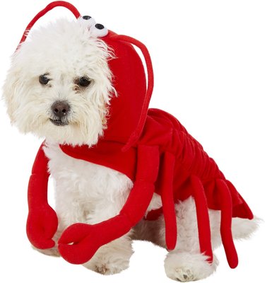 Frisco Lobster Dog & Cat Costume, slide 1 of 1