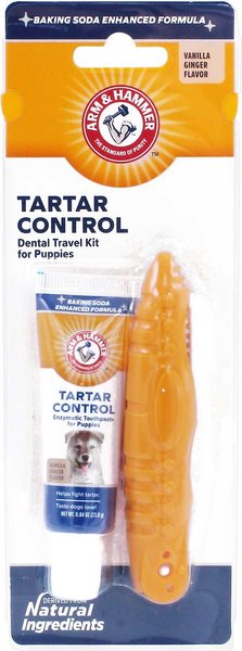 Arm & Hammer Products Tartar Control Vanilla-Ginger Flavored Enzymatic Puppy Dental Travel Kit slide 1 of 6