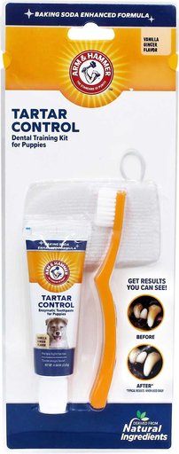 ARM & HAMMER PRODUCTS Tartar Control Vanilla-Ginger Flavored Enzymatic Puppy Dental Training Kit
