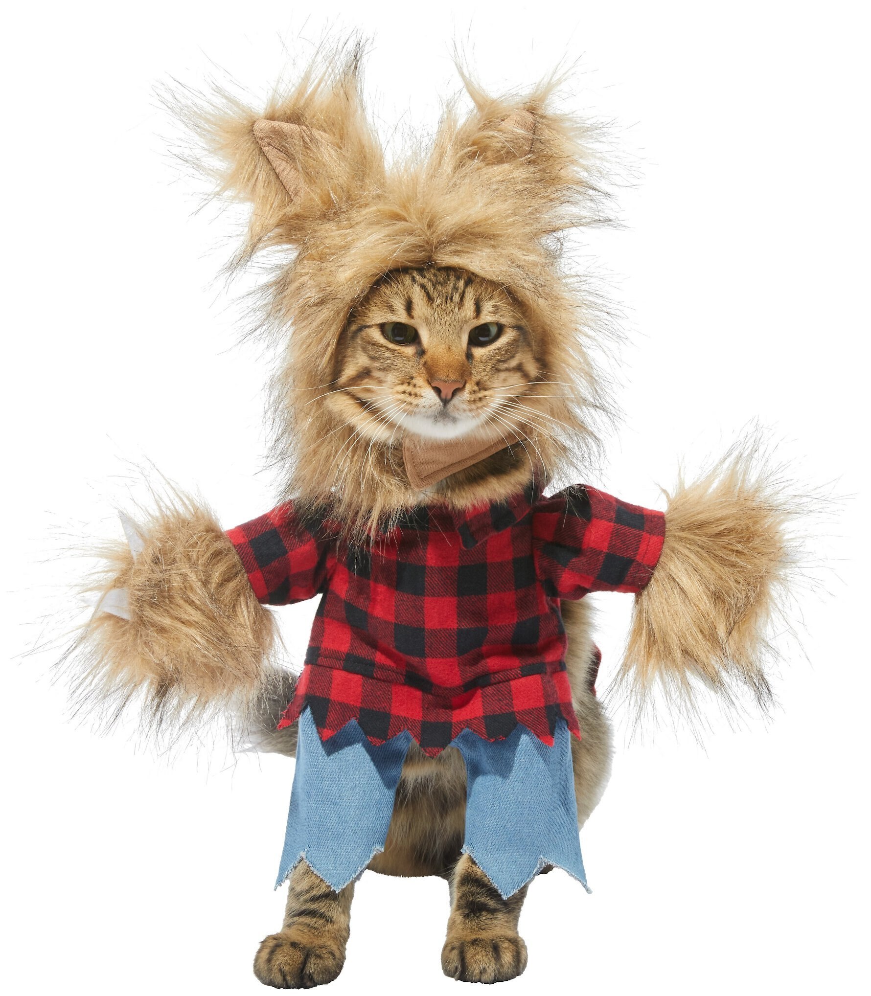 Frisco Front Walking Warrior Dog & Cat Costume
