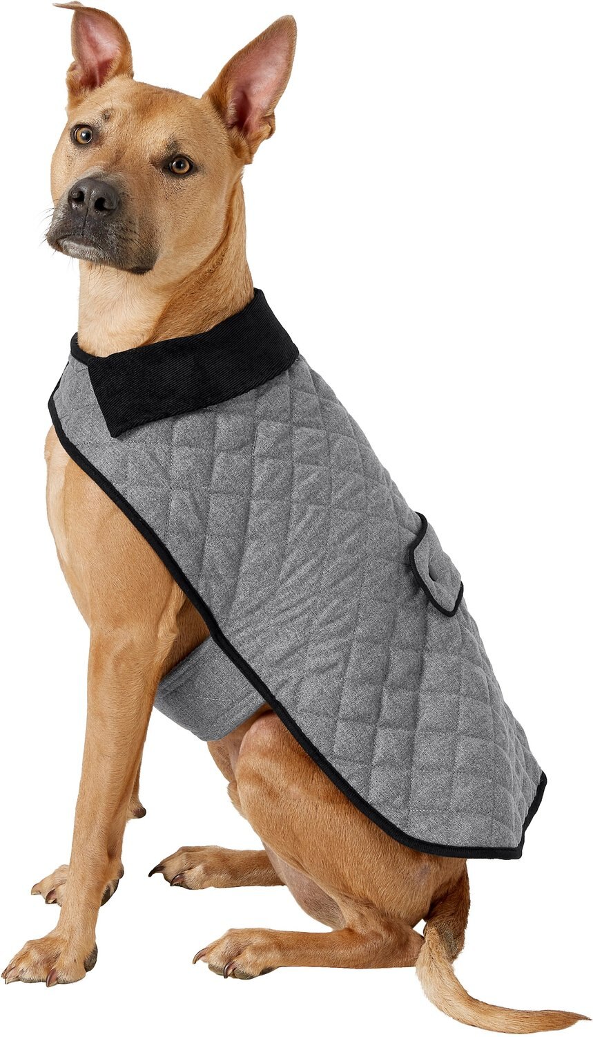 FRISCO Dog & Cat Quilted Jacket, Gray, XLarge