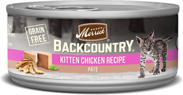 Backcountry kitten food best sale