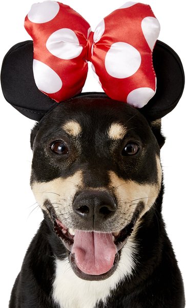 Rubie's Costume Company Minnie Mouse Ears Dog & Cat Costume, Small/Medium slide 1 of 4