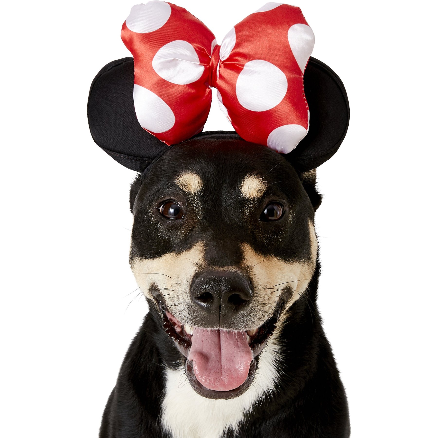  Rubie's Disney: Mickey & Friends Pet Costume, Minnie Mouse,  Large (200164LXL_L) : Pet Supplies