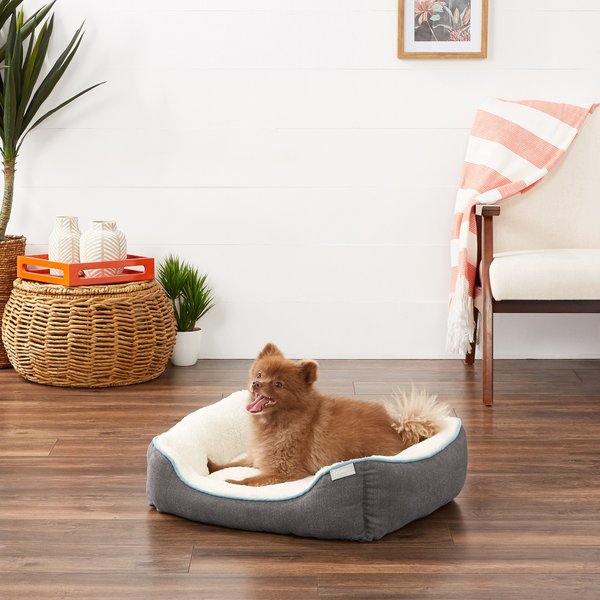 Organic Dog Bed by Avocado - Large/ X-Large - Mailman Blue