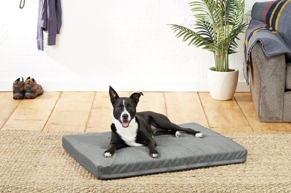 frisco pillow dog bed