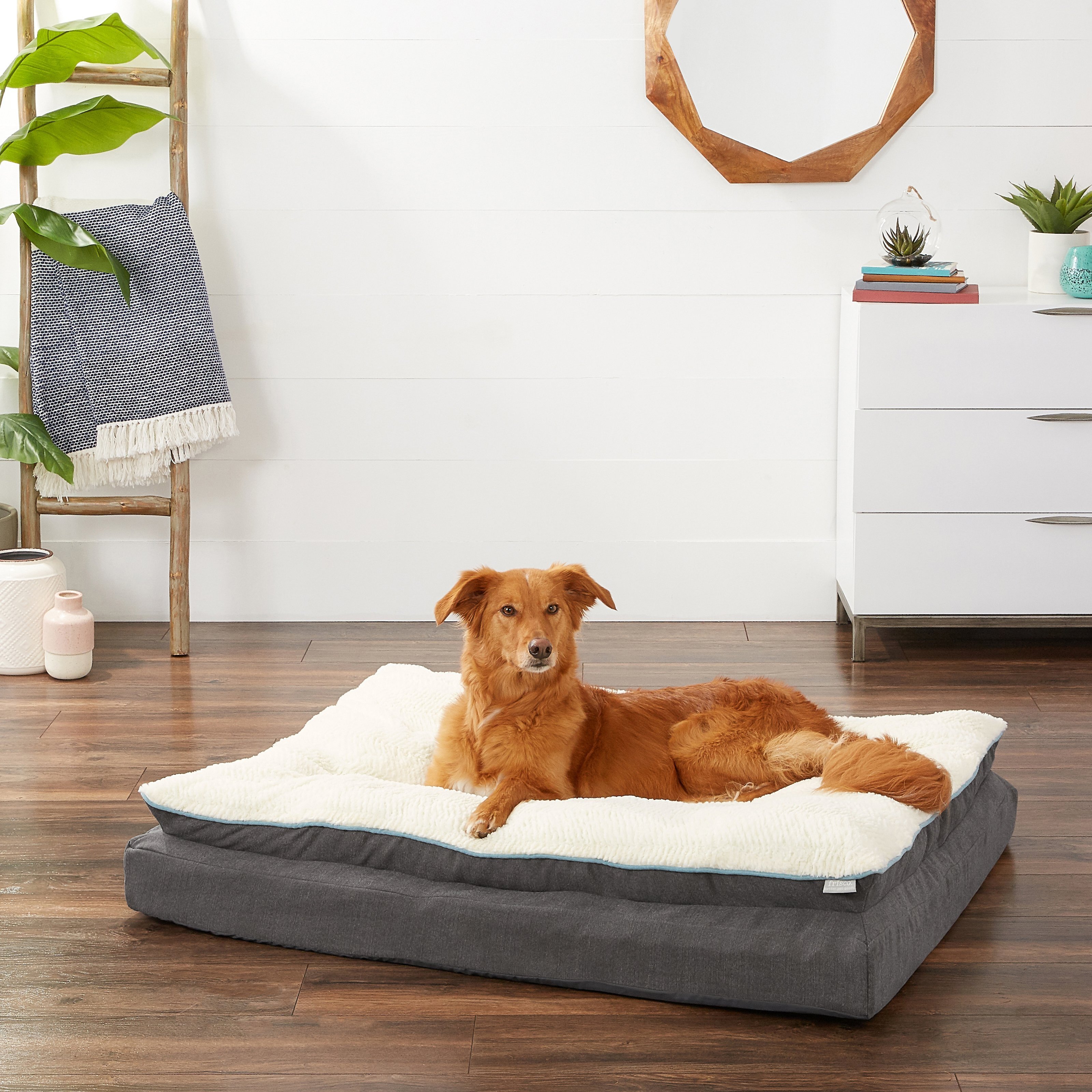 FRISCO Plush Orthopedic Pillowtop Dog Bed w Removable Cover