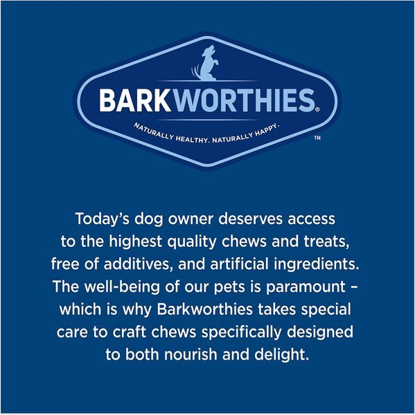 Barkworthies Pumpkin Phytocannabinoid Dog Treats