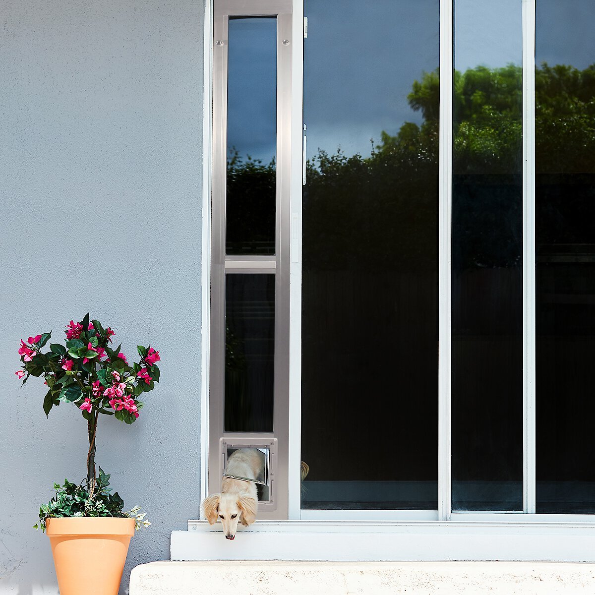 Ideal Pet Products Aluminum Modular Pet Patio Doors