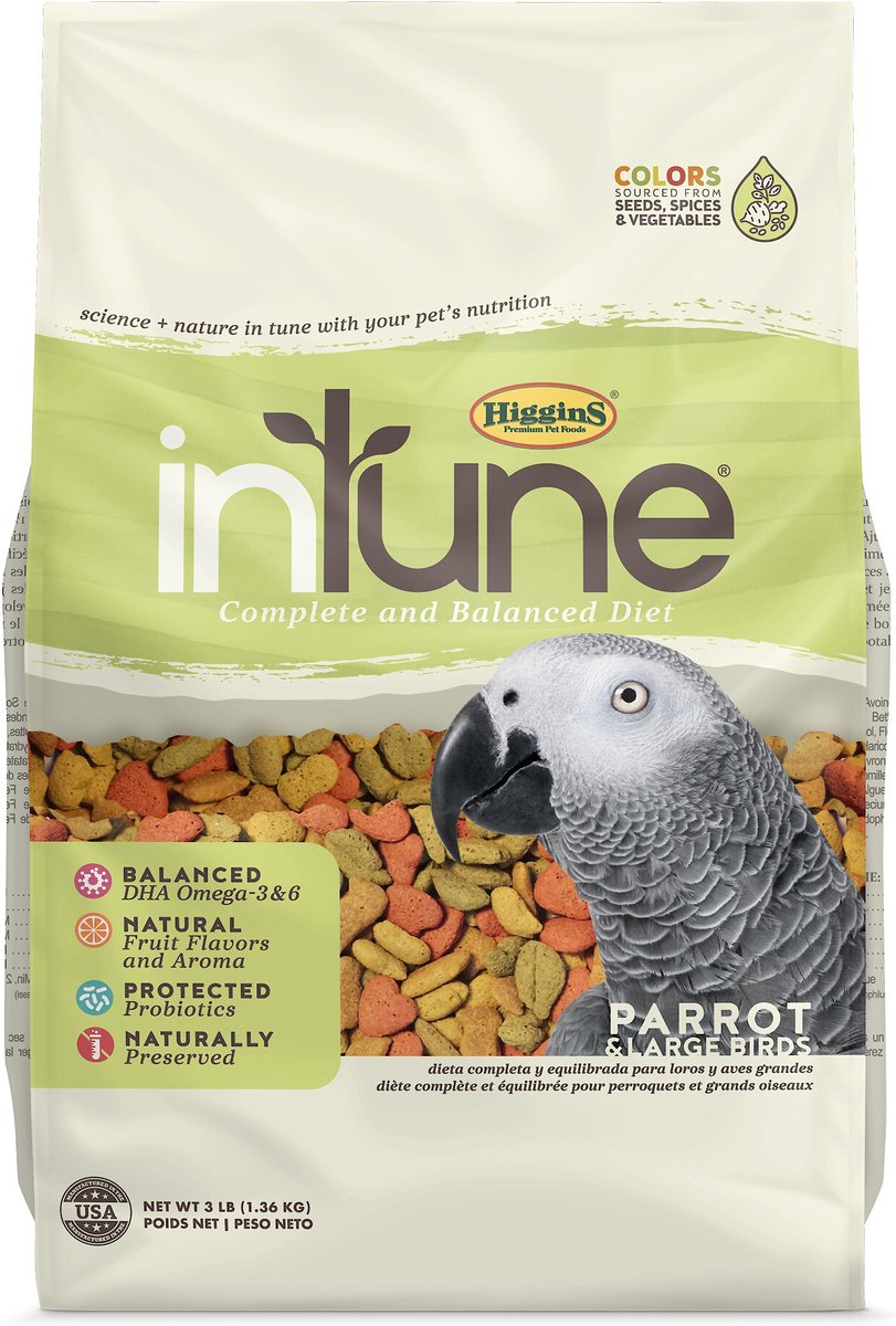 Natural parrot clearance food