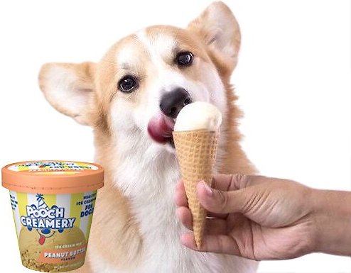 Peanut butter cone for 2024 dogs